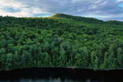 2020 Drone Photos 20200820-DJI_0956.jpg